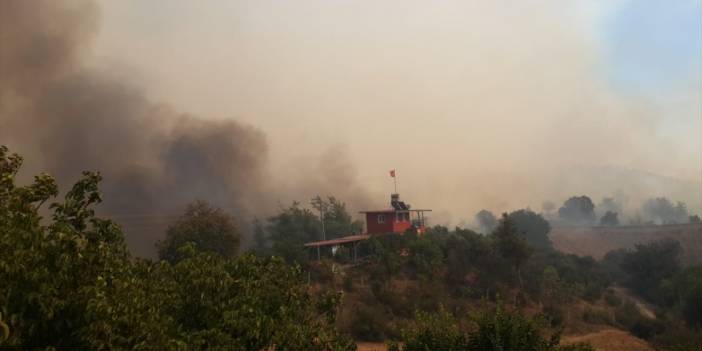 Tarlada başlayıp ormanlık alana sıçrayan yangına müdahale ediliyor