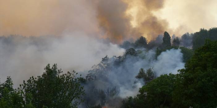 Gündoğmuş'ta rüzgar nedeniyle alevler sürekli yön değiştiriyor