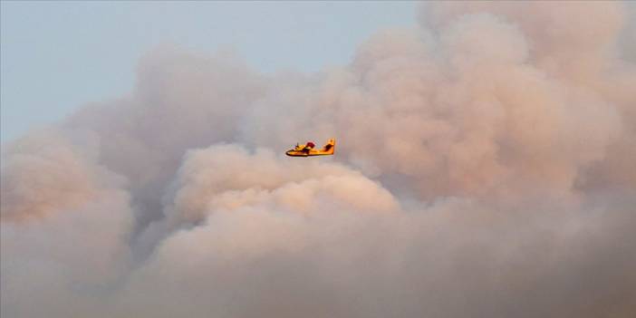 Yerküre, yoğunluğu artan orman yangınlarının etkisi altında