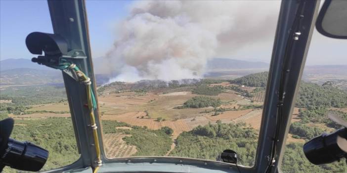 'Yeşil vatan'ın korunmasına Mehmetçik'ten büyük katkı