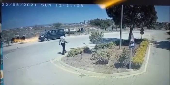 Yürek sızlatan görüntü! Güvenlik görevlisi ocakta ısıttığı sıcak suyu köpeğin üzerine döktü