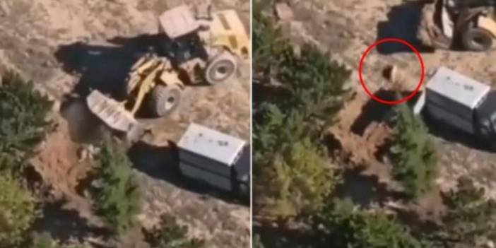 Köpeklerin diri diri gömüldüğü iddiası! Konya Sarayönü Belediyesi cevap verdi