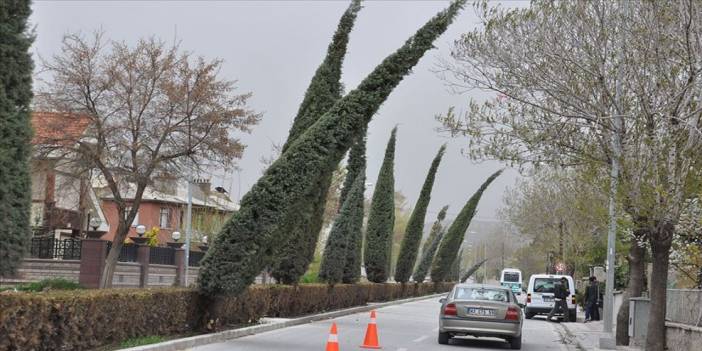 Konya’da bugün lodos fırtınası etkili olacak! İşte saat saat hava tahmini
