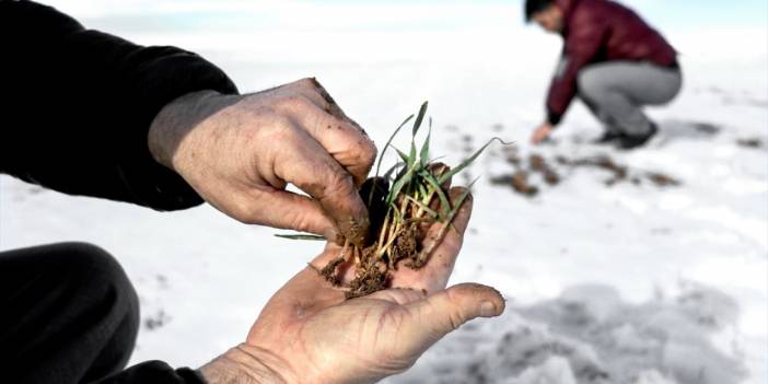 Kar yağışı Konya'ya bereket getirdi