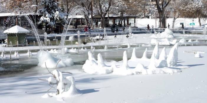 Yer Konya! Havuz buz tuttu, kuğuları gören telefona sarıldı
