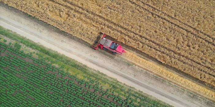 Çiftçiye dekar başına 50 lira ek destek