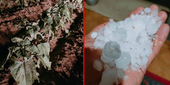 Konya’nın bir ilçesini dolu vurdu