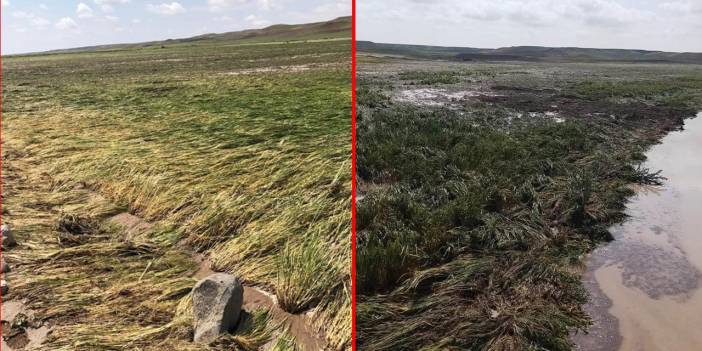 Konya’da 3 bin dekarlık ekili arazi dolu ve yağmur nedeniyle zarar gördü