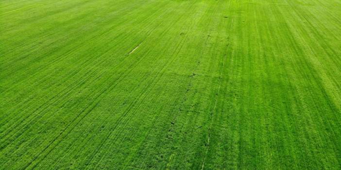 Konya’daki yağışlar rekolteyi attırdı mı? Dolu ekili alanlara zarar verdi mi?