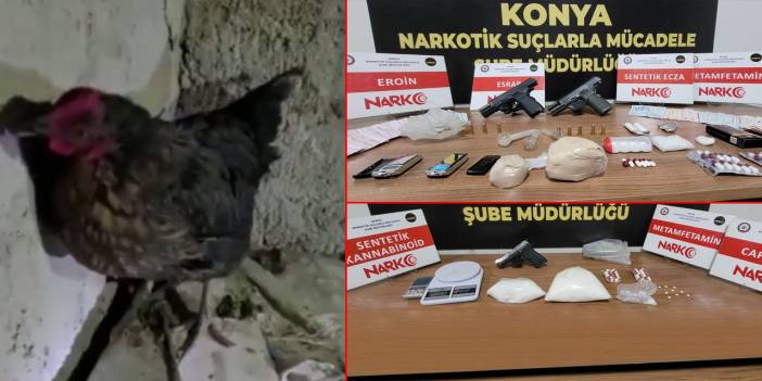 Konya’da kuluçkaya yatan tavuğun altından uyuşturucu çıktı