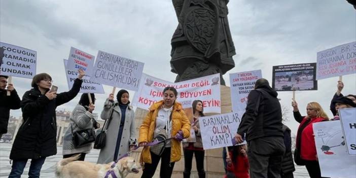 Konya'da toplanan bir grup: Hayvanlar barınaklarda değil sokaklarda yaşamalı!
