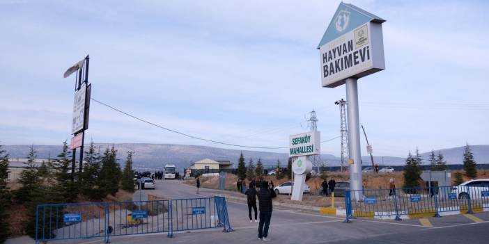 Konya’da köpeğin kürekle öldürülmesinde 2 sanığın tahliyesine itiraz sonuçlandı