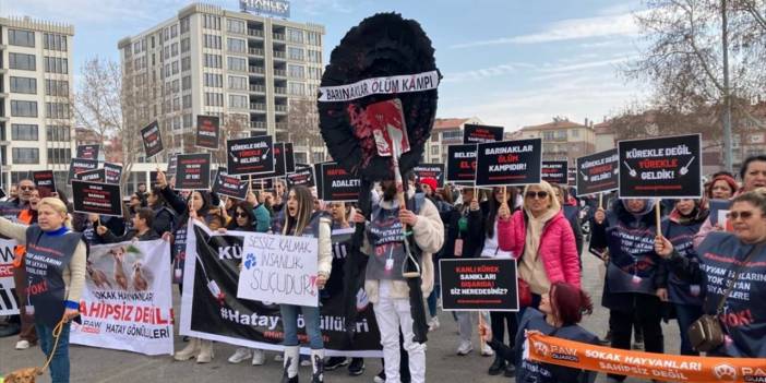 Konya'daki barınakta köpeği öldüren sanıkların tahliyesine tepki