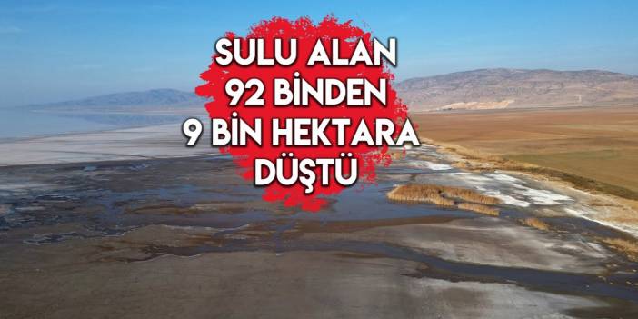 Binlerce kuşa ev sahipliği yapan Tuz Gölü, kuraklığın etkisiyle küçülüyor