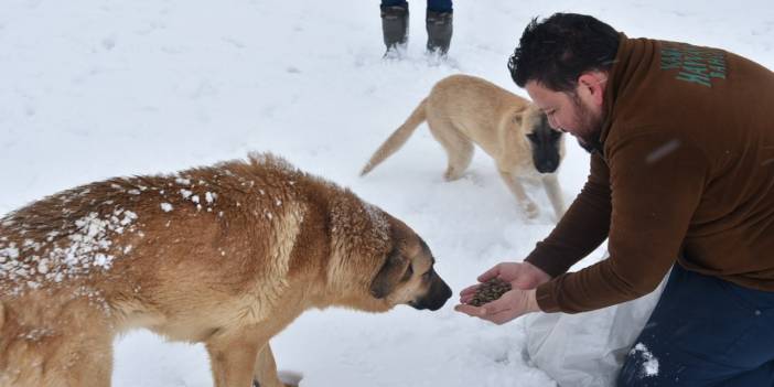 Konya beyaza büründü, Karatay’da sokak hayvanları unutulmadı