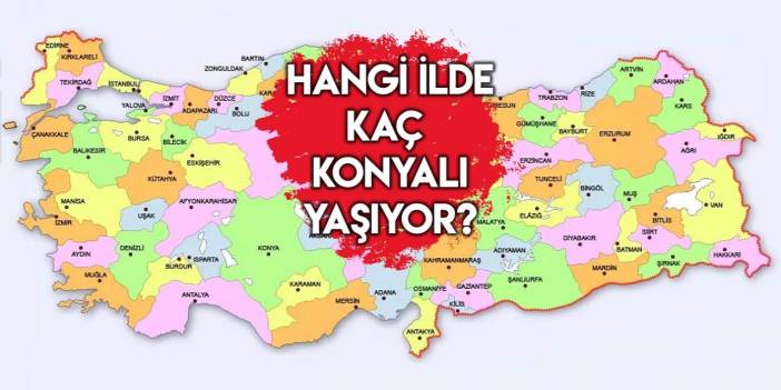 Konya dışında en çok Konyalı hangi ilde yaşıyor?