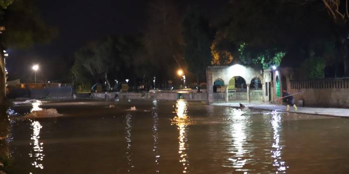 Balıklıgöl'deki balıklara ne oldu? En yetkili isimden açıklama geldi