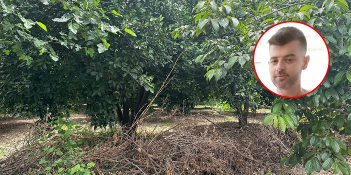 Yürüyüşe çıkan kişi hurma bahçesinde gördüğü manzara sonrası telefona sarıldı