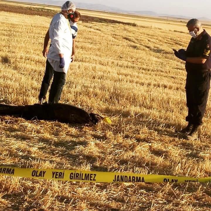 konyada-bos-tarlada-uzerinde-yanik-izleri-bulunan-ceset-bulundu-hd.jpeg