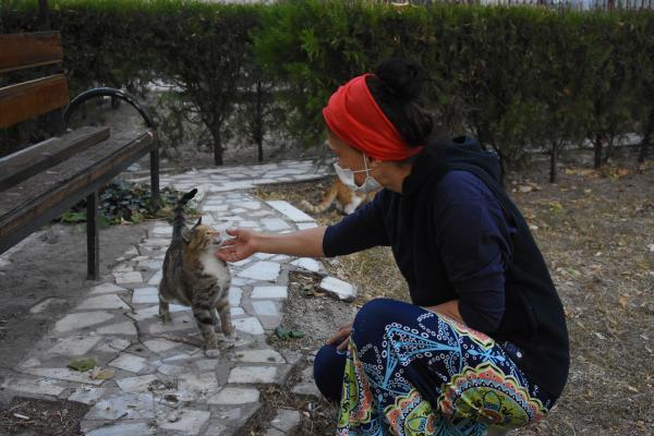 konyada-apartman-bahcesinde-beslenen-kedilerin-zehirlenmesine-tepki-001.jpg