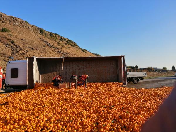 devrilen-kamyondaki-15-ton-mandalina-yola-sacildi.jpg