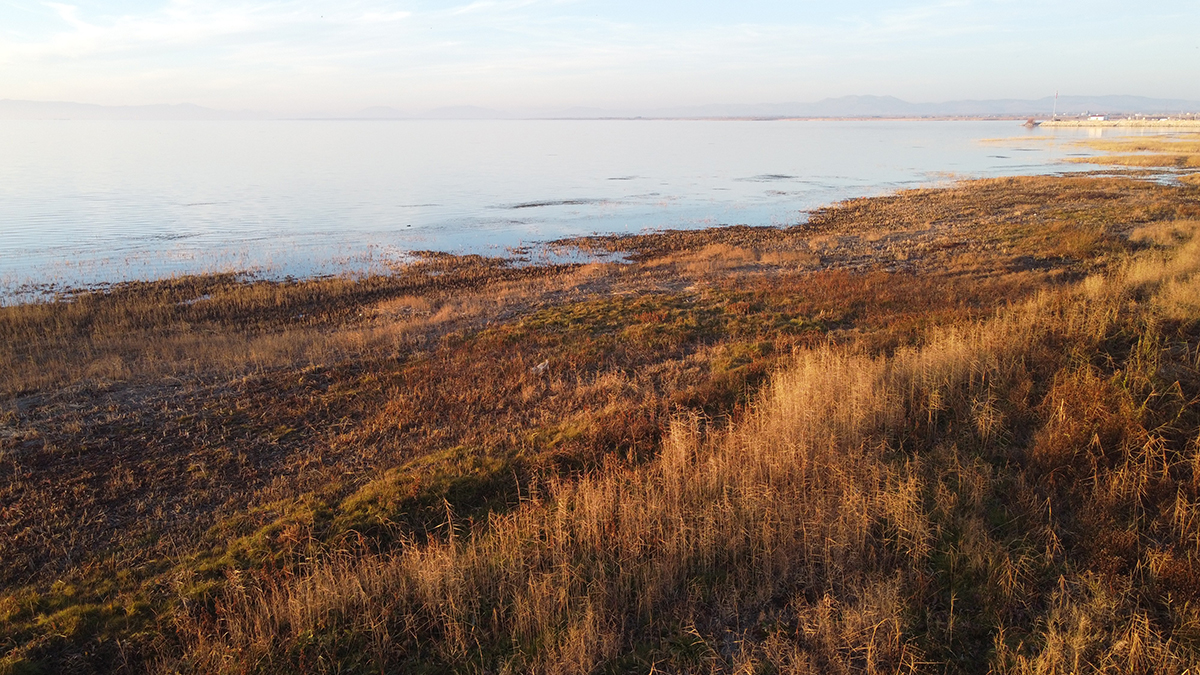 tahil-ambari-konyada-kuraklik-alarmi-beysehir-golunde-su-seviyesi-azaliyor