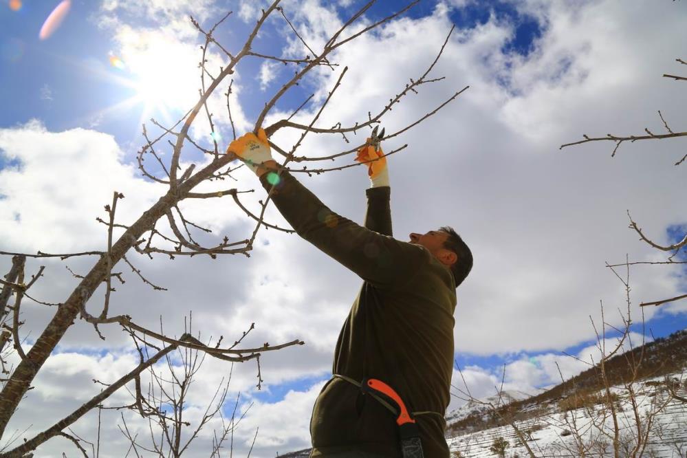 konyanin-hadim-ilcesindeki-kiraz-bahceleri-kar-altinda-yeni-sezona-hazirlaniyor-001.jpeg