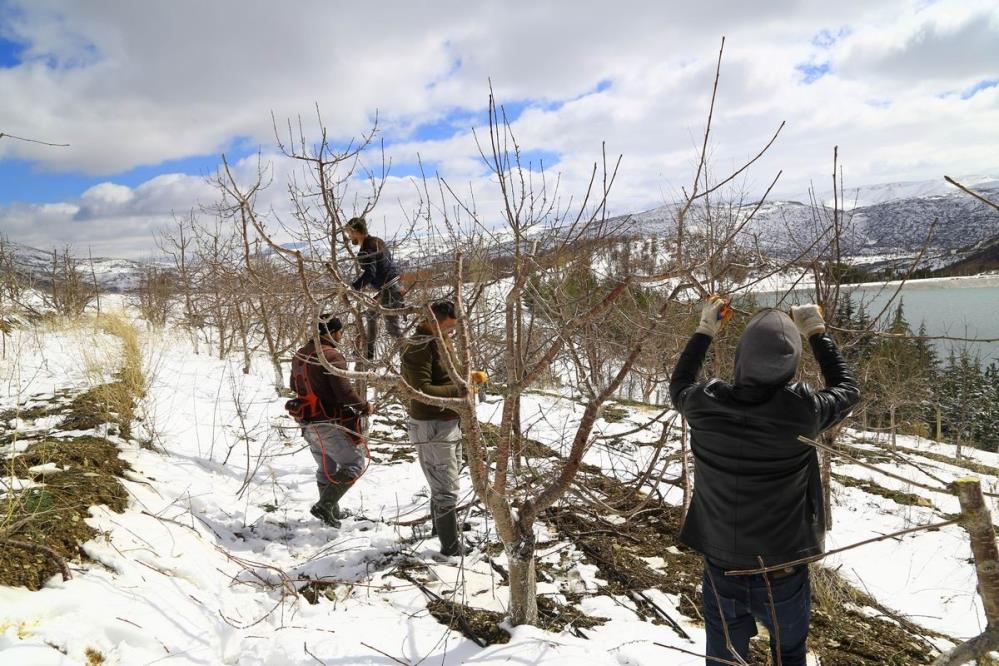 konyanin-hadim-ilcesindeki-kiraz-bahceleri-kar-altinda-yeni-sezona-hazirlaniyor.jpeg
