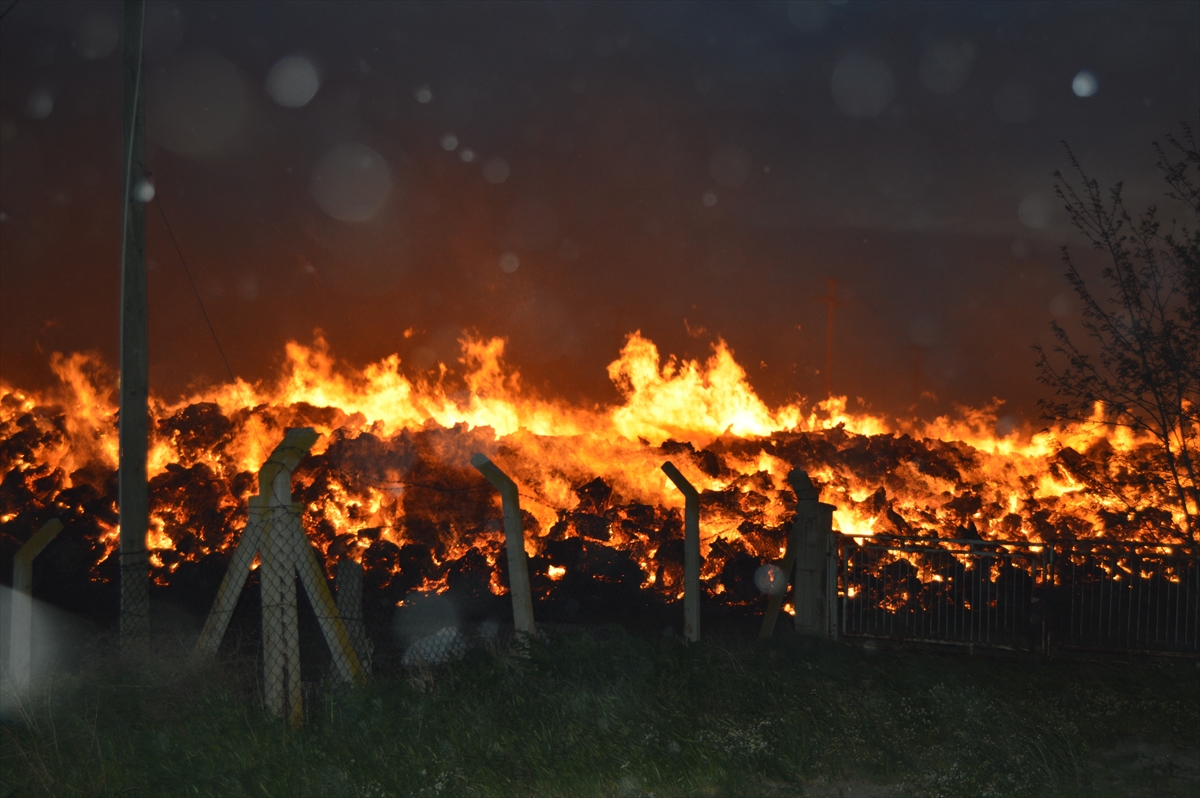 biyokutle-enerji-santralindeki-yangin-konyadan-giden-ekiplerin-de-yardimiyla-sonduruldu-2.jpg