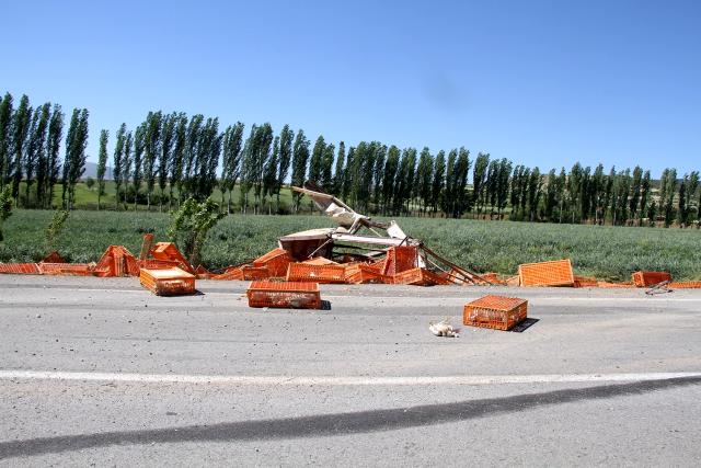 canli-tavuk-yuklu-tir-devrildi-yuzlerce-tavuk-telef-oldu-001.jpg