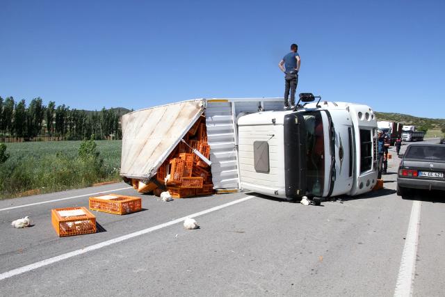canli-tavuk-yuklu-tir-devrildi-yuzlerce-tavuk-telef-oldu-002.jpg