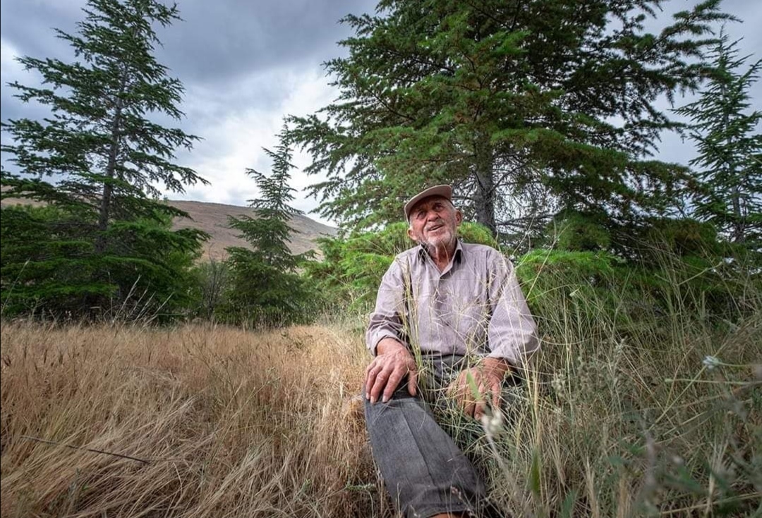 turkiyenin-orman-dedesi-81-yasindaki-konyali-3ncu-ormanini-olusturuyor.jpeg