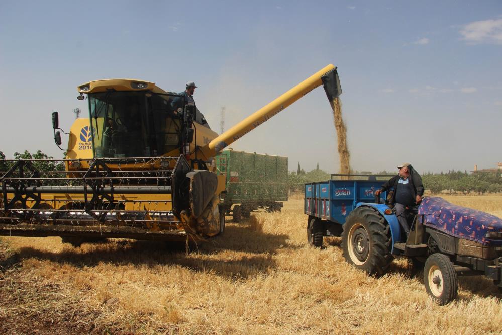 hububatta-dusuk-rekolte-ureticiyi-uzdu3.jpg