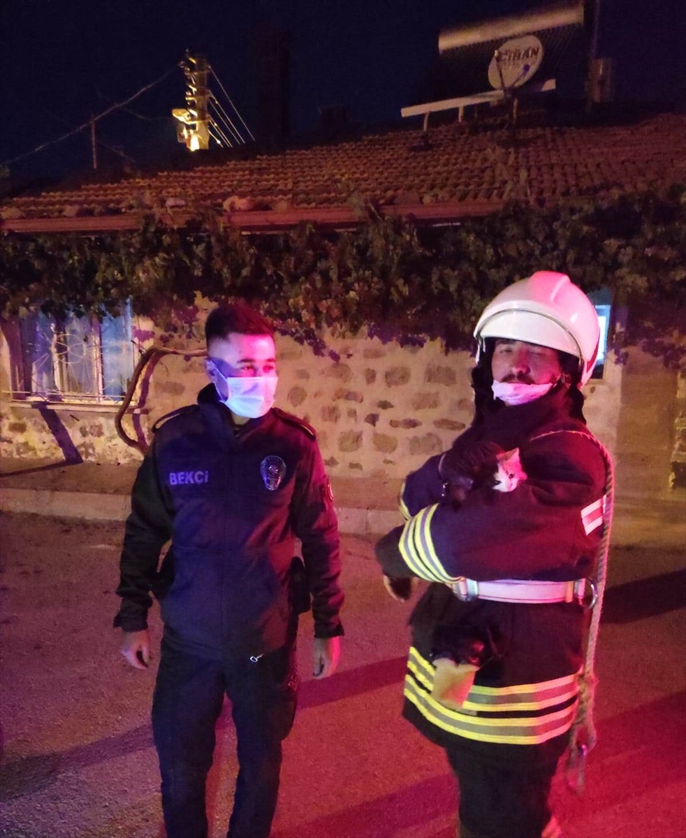 konyada-kedi-kurtarma-operasyonu-2.jpg