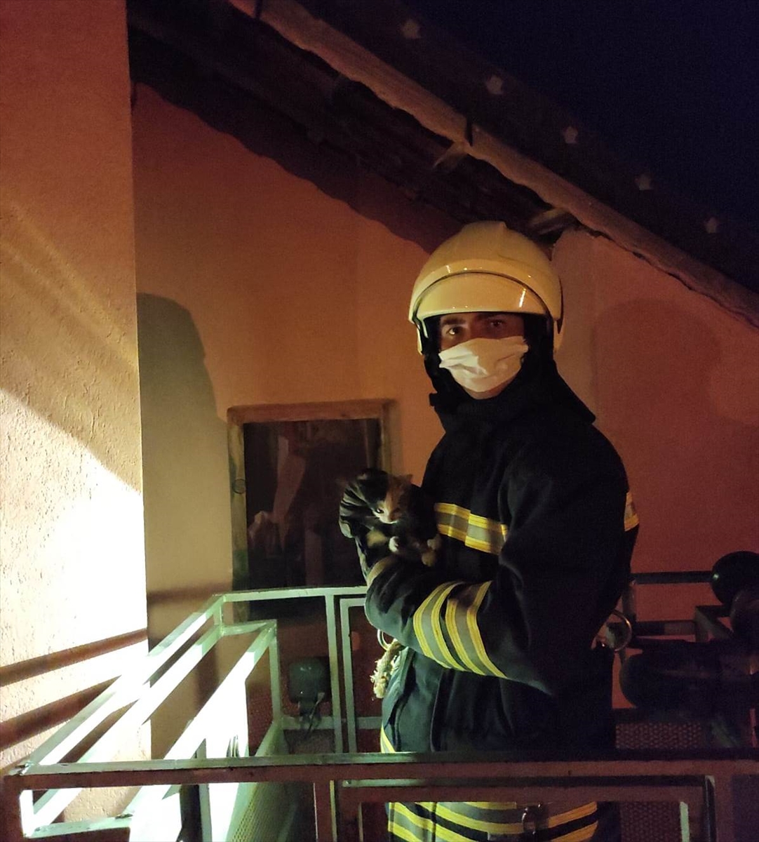 konyada-kedi-kurtarma-operasyonu-6.jpg
