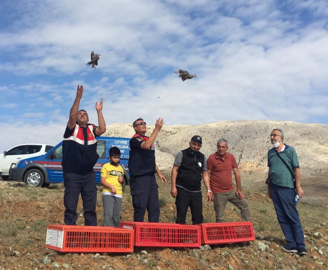 jandarma-ve-doga-koruma-ekipleri-konyada-dogaya-keklik-birakti.jpeg