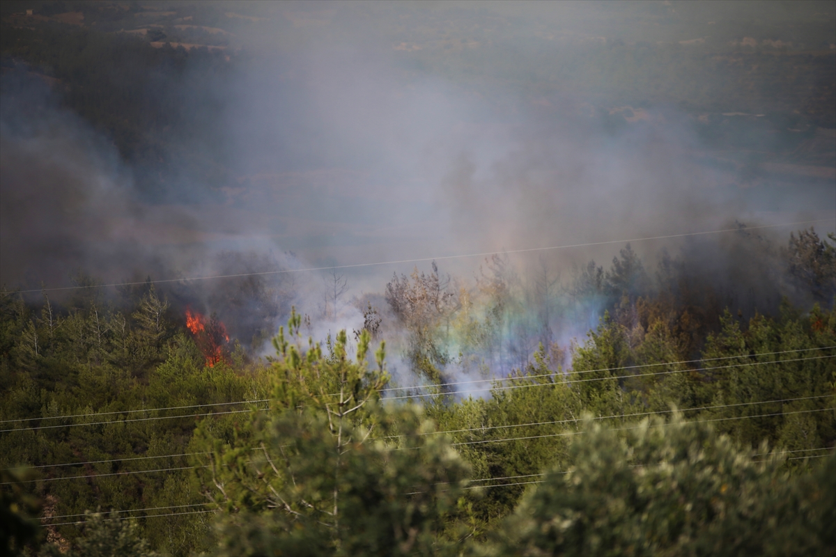 cukurovada-cikan-orman-yanginina-havadan-ve-karadan-mudahale-ediliyor-3-001.jpg