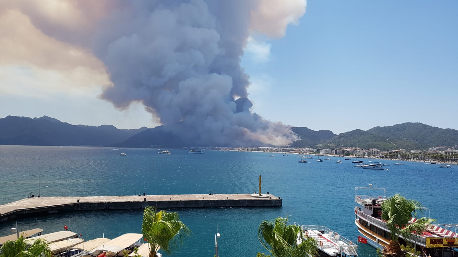 marmaris-orman-yangini-002.jpeg