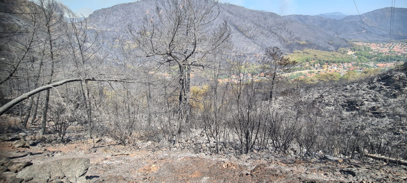 mugla-orman-yangini-001.jpeg