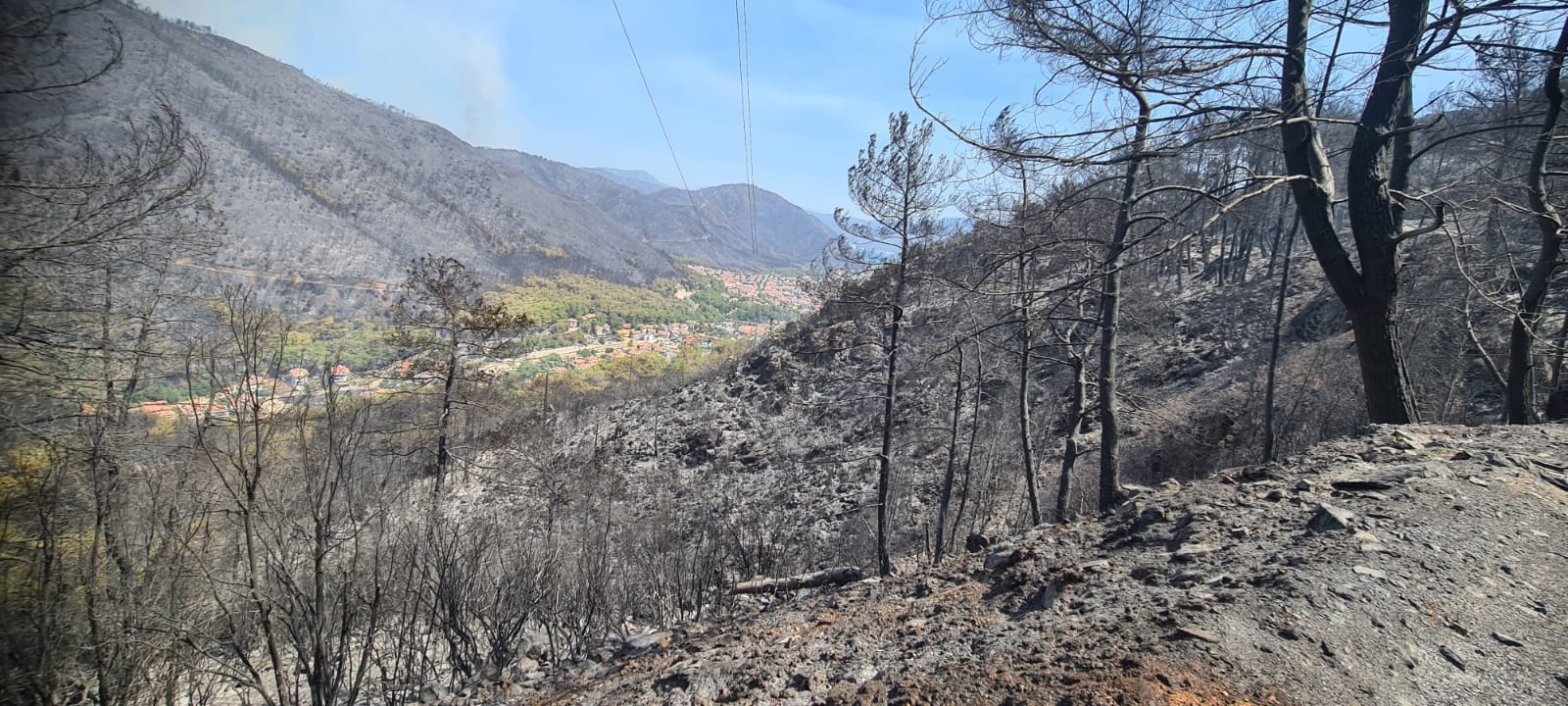 mugla-orman-yangini.jpeg