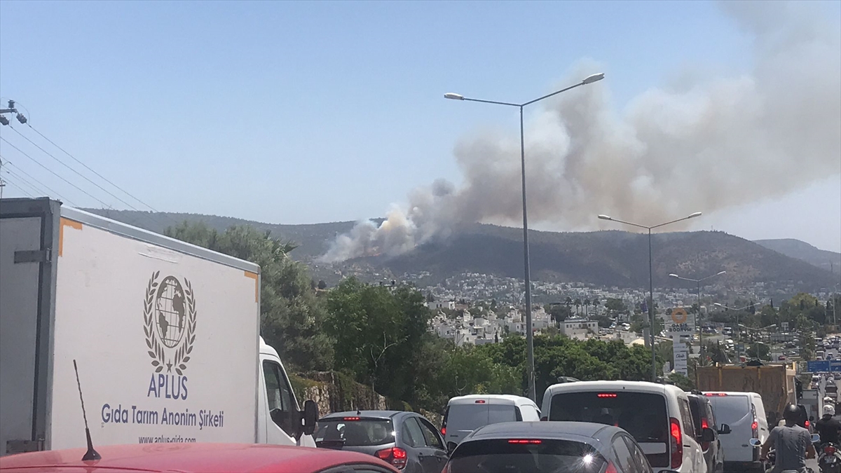 bodrumda-cikan-orman-yangini-ruzgarin-da-etkisiyle-genis-bir-alana-yayildi-4.jpg