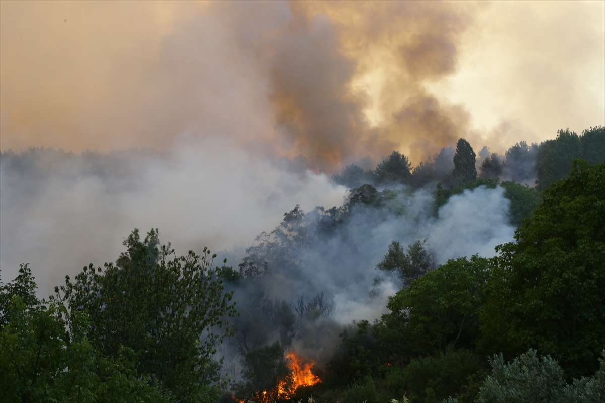 gundogmusta-ruzgar-nedeniyle-alevler-surekli-yon-degistiriyor-2.jpg