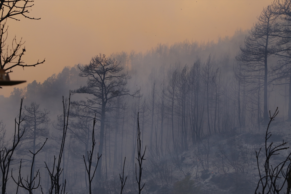 gundogmusta-ruzgar-nedeniyle-alevler-surekli-yon-degistiriyor-7.jpg