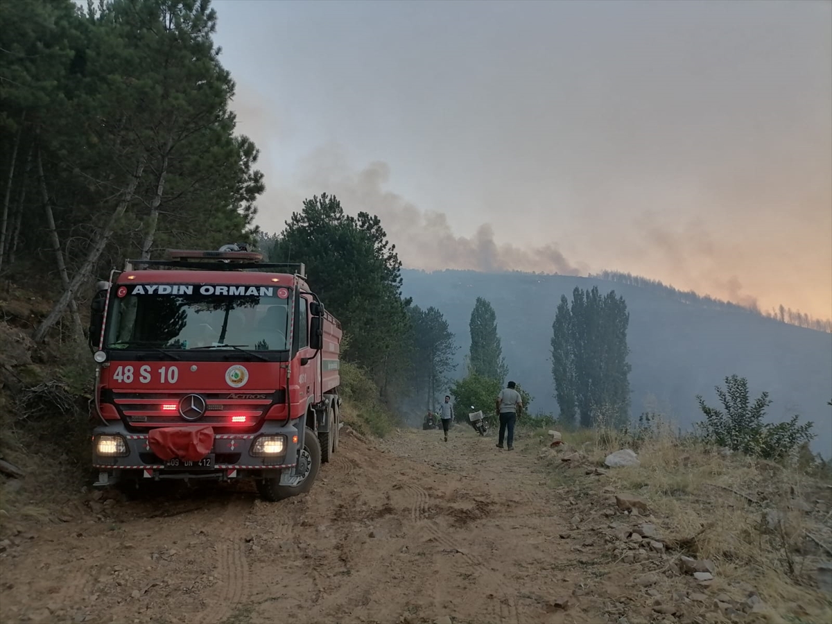 aydinda-orman-yangini.jpg