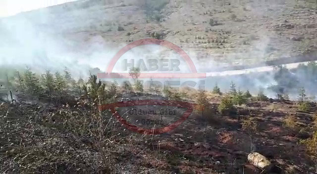 konyada-orman-yangini-alarmi-cok-sayida-ekip-sevk-edildi.jpg