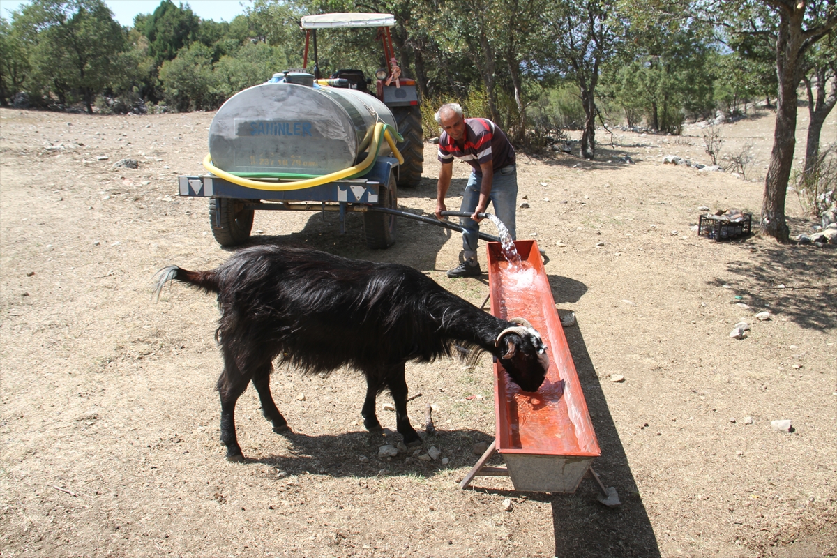 konyada-kuraklik-nedeniyle-yaylalardaki-cesme-ve-kuyularda-su-bitti-besiciler-yeni-cozum-uretti-4.jpg