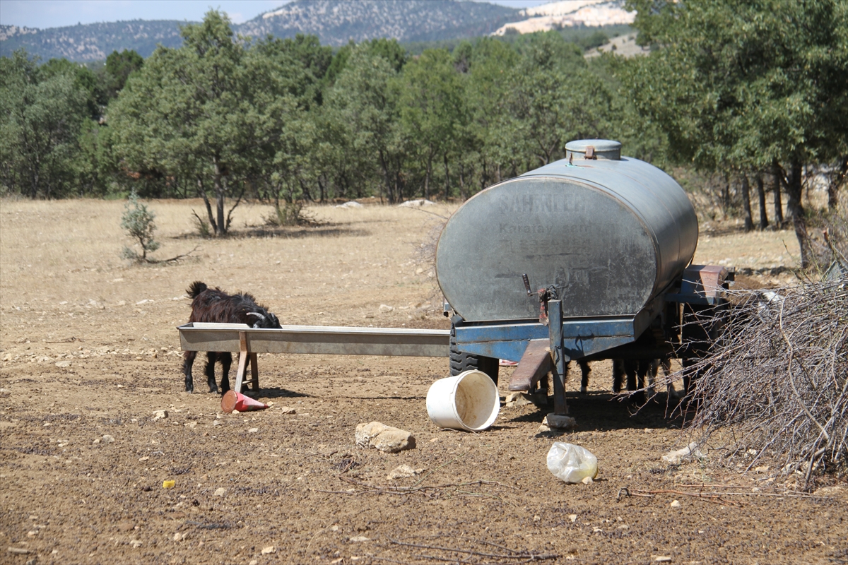 konyada-kuraklik-nedeniyle-yaylalardaki-cesme-ve-kuyularda-su-bitti-besiciler-yeni-cozum-uretti-8.jpg
