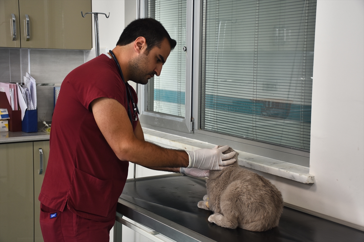 turkiyenin-en-buyuk-pet-hastanesi-selcuk-universitesinde-4.jpg