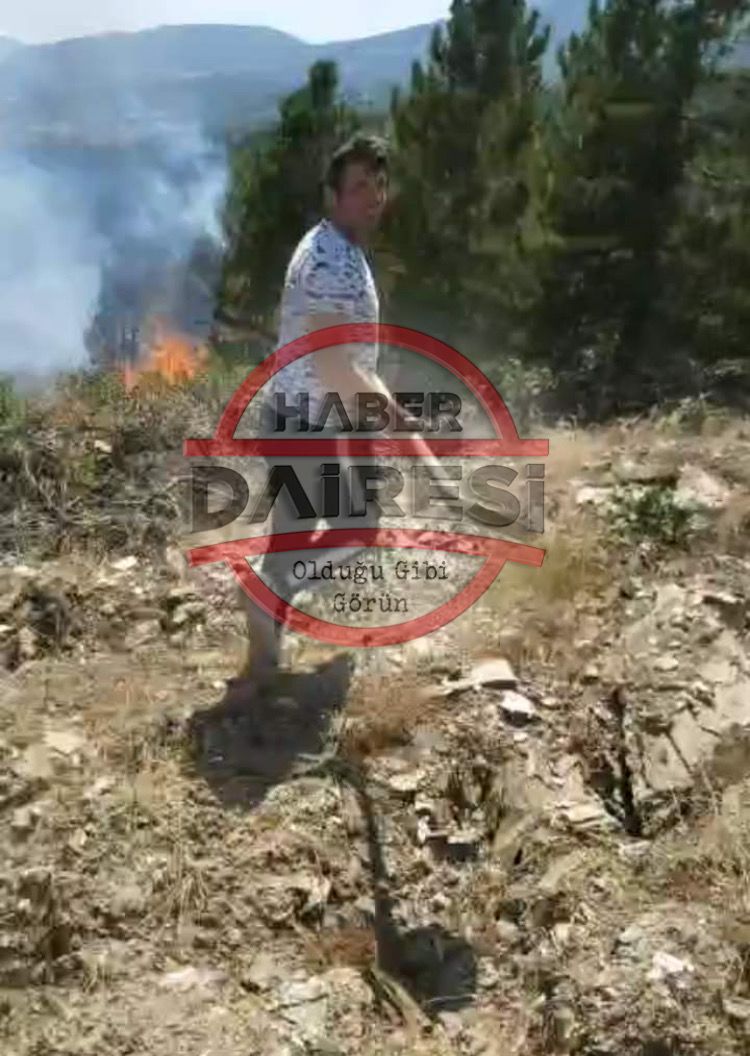 son-dakika-konyada-orman-yangini-cikti-cok-sayida-ekip-mudahale-ediyor-001.jpeg