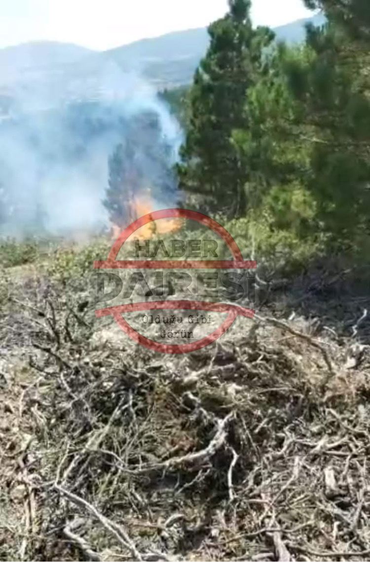 son-dakika-konyada-orman-yangini-cikti-cok-sayida-ekip-mudahale-ediyor.jpeg